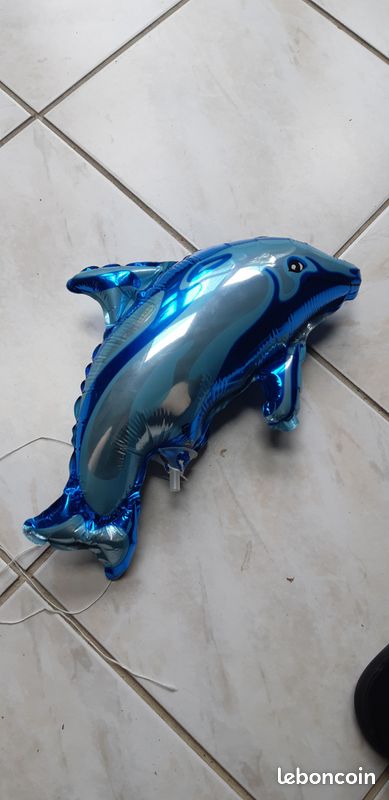 Petit Ballon Dauphin (image 2)