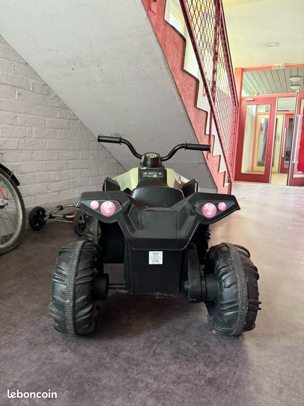 Quad boxer feber (image 2)