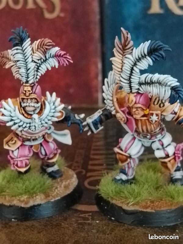 Vends Bloodbowl Team Noblesse Impériale (image 4)