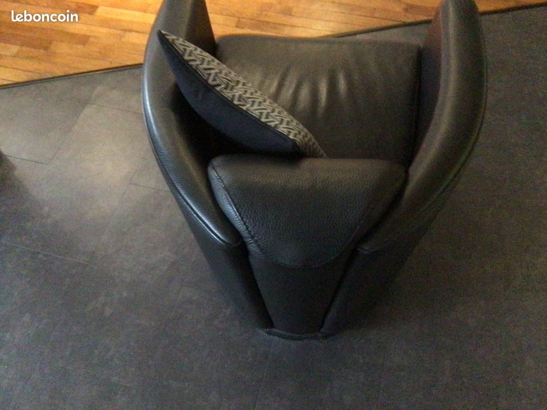 Fauteuils cuirs (image 3)