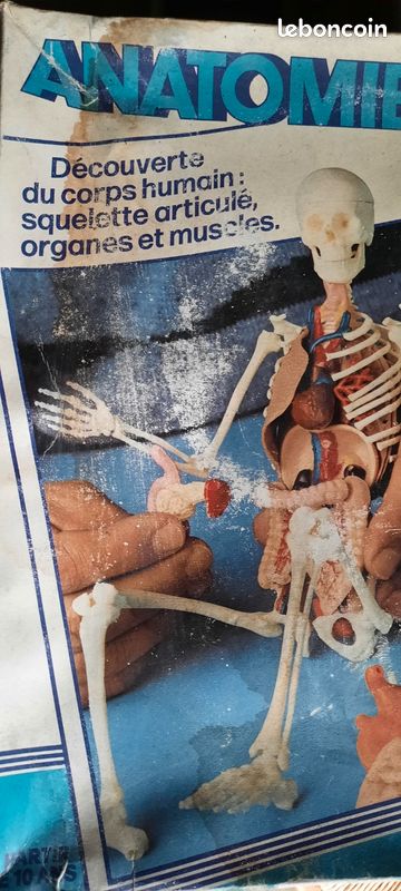 KING - Tout Savoir Sur L'anatomie - Le Corps Humain. 🤔 Un Jeu Fantastique Pour Apprendre %c3%a0 Co