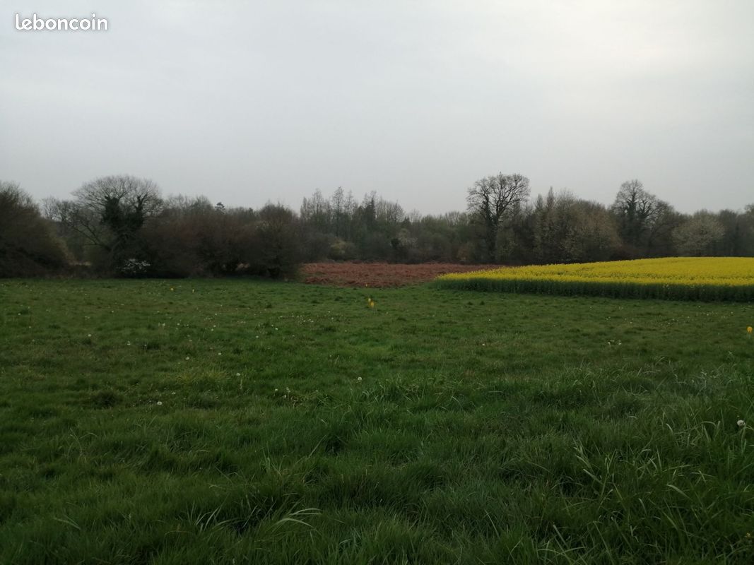 Terrain à bâtir de 402 m² à SAINT-GUYOMARD (56) · 65 000 €