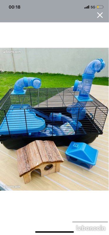 Cage hamster (image 2)