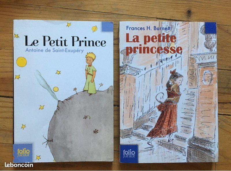 Roman Le petit prince et le petite princesse (image 1)