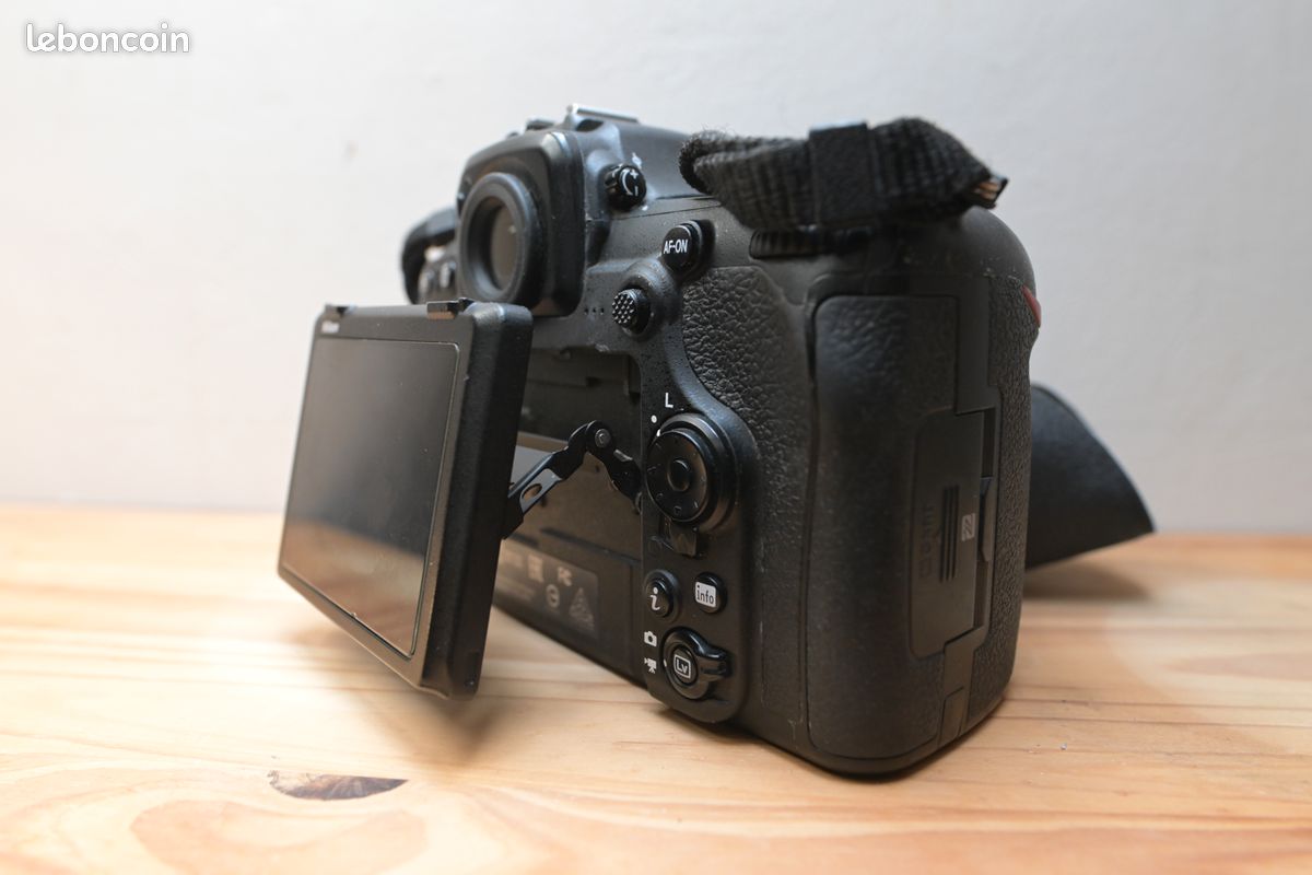 Nikon D500 (image 2)