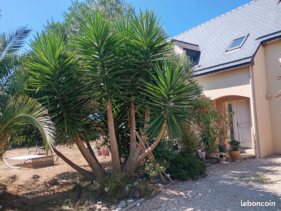 Maison 9 pièces 165 m² · à Saint-Méloir-des-Ondes · 165 m² · 565 000 €