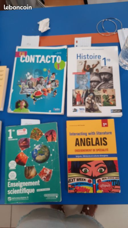Livres Lycée Bellevue 1ere (image 5)