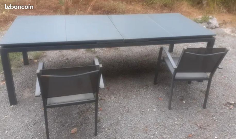 Table de jardin 10/12 personnes (image 1)