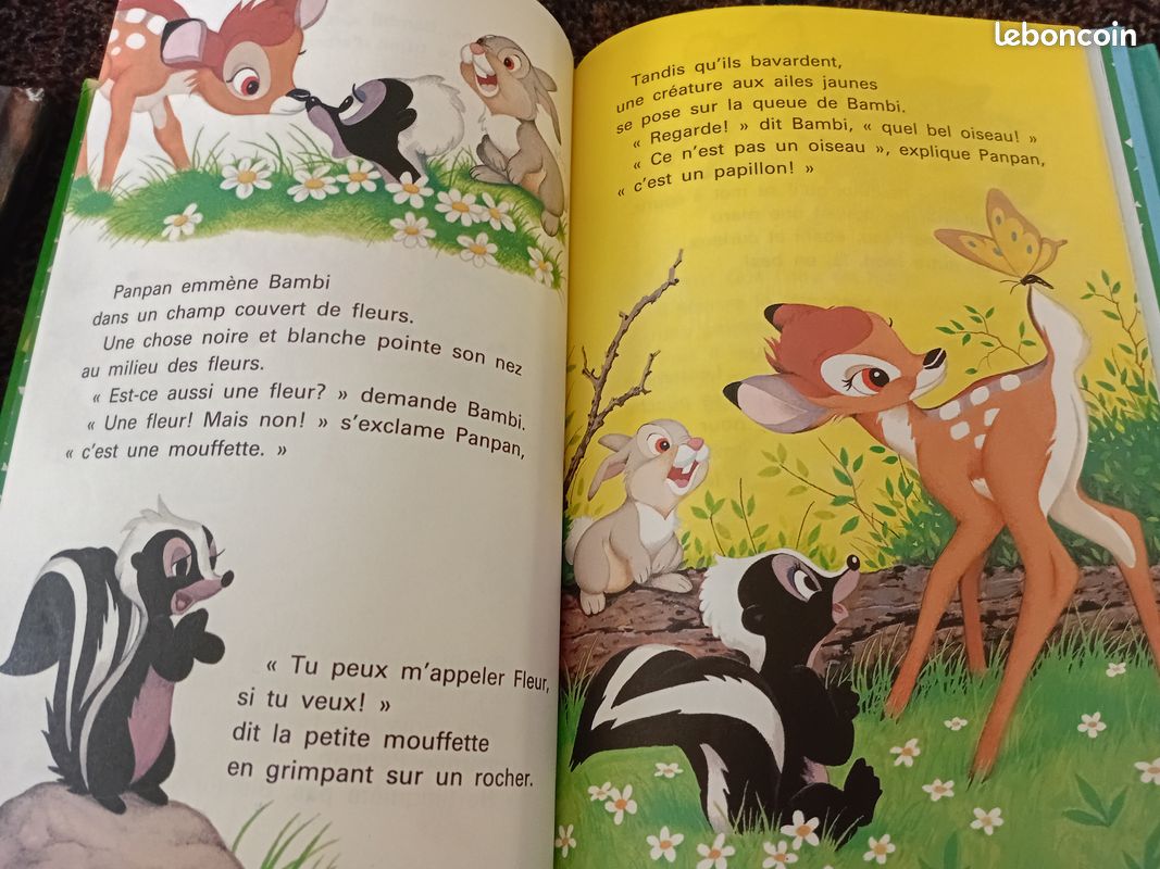 Lot livres Disney (image 3)