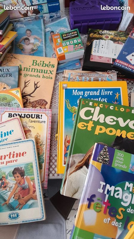 Gros lot de jouets, puzzles, livres, Lego, Barbie, micro karaoké, palmes, bottes de neige, jeux Meccano, valise éléphant : tout doit partir (image 8)
