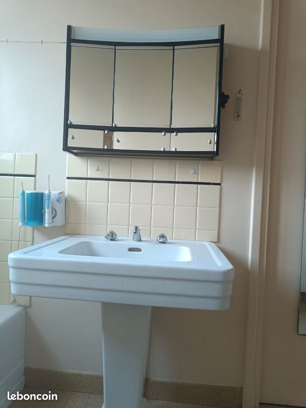 Salle de bain vintage (image 1)