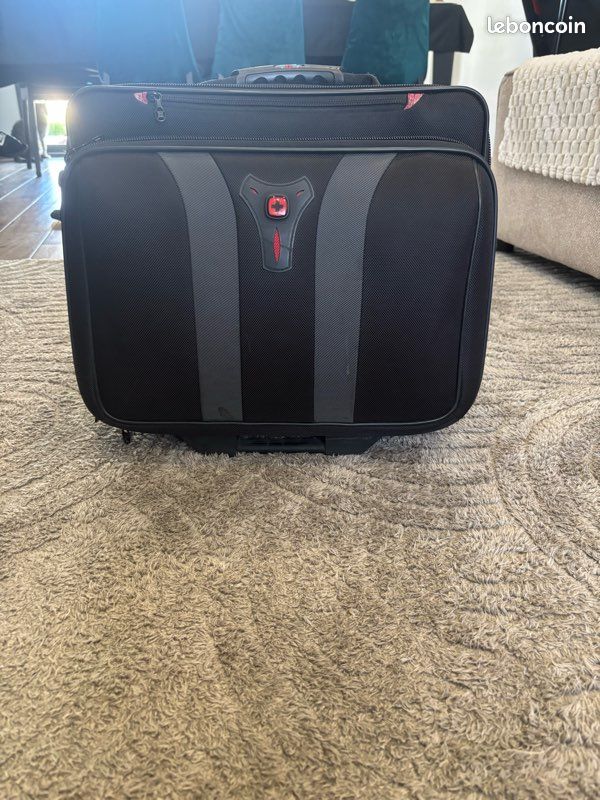 Valise de transport (image 1)