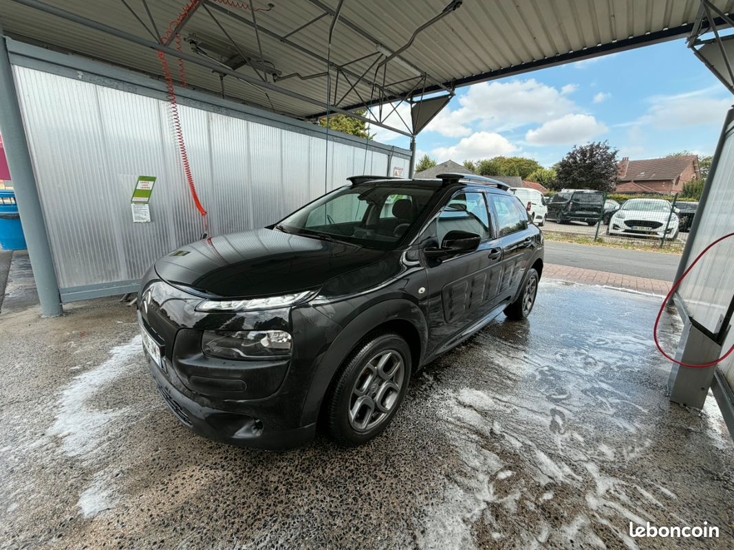Citroen c4 cactus (image 1)