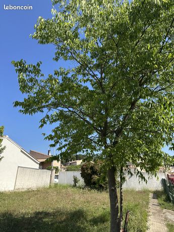 Terrain 398 m² Corneilhan