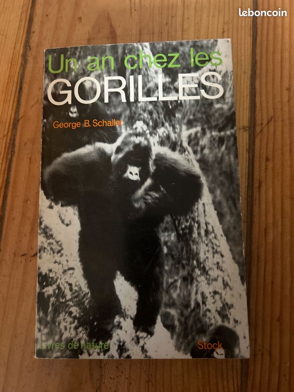 Un an chez les gorilles (image 1)