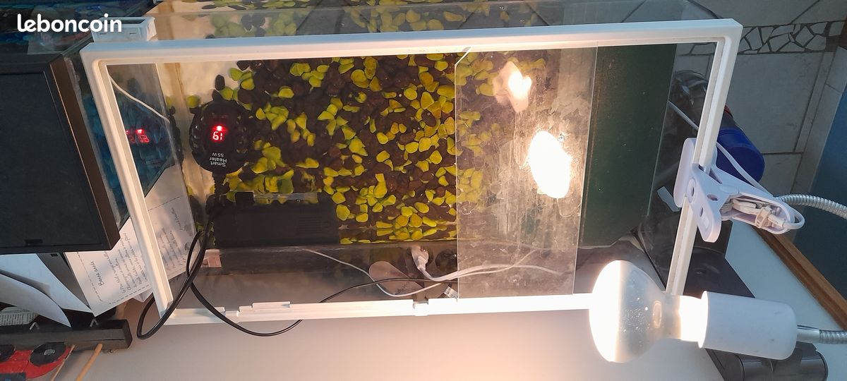 Aquarium pour tortue avec lampe pompe et chauffage (image 2)