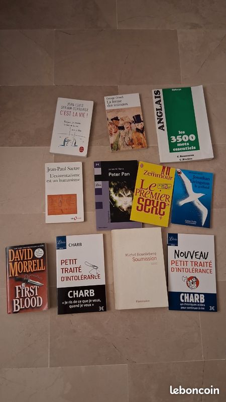 Lot de livres – romans, essais, philosophie, langues (image 1)
