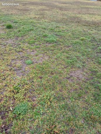 Terrains à bâtir à Auxonne 21