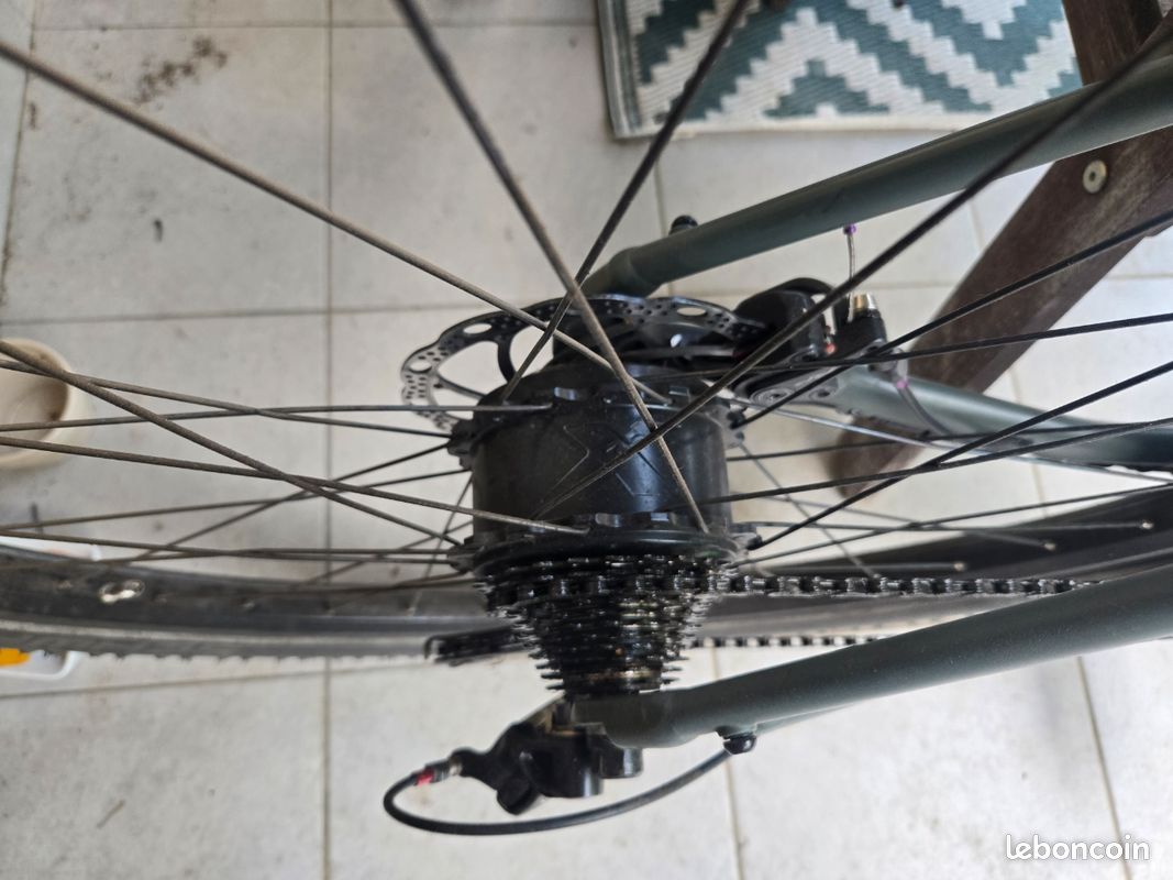 Vae Gravel Winora e flitzer moteur mahle campagnolo supernova (image 3)