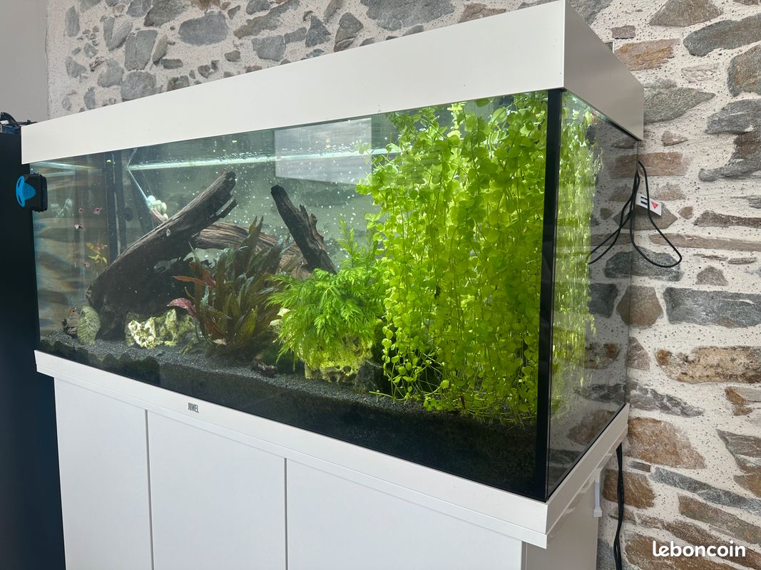 Aquarium 240 Juwel (image 1)