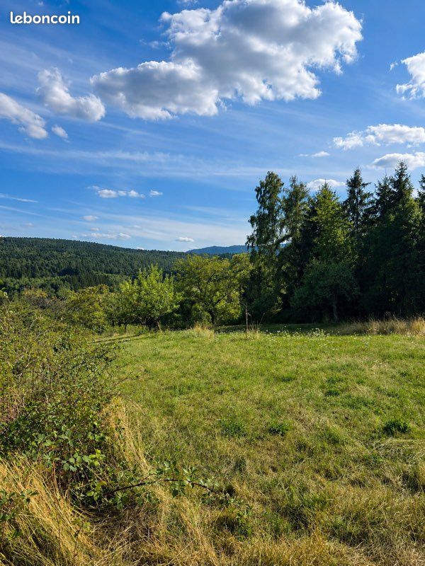Terrain d’exception constructible de 20 ares · Orientation Sud · Vue imprenable sur les Vosges · à Sommerau · 350 000 €