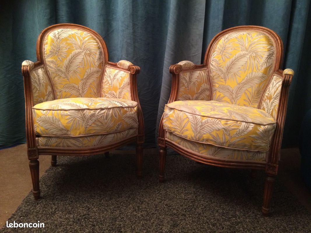 Paire de fauteuils Louis XVI medaillon (image 1)