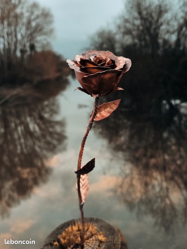 Roses en cuivre (image 2)