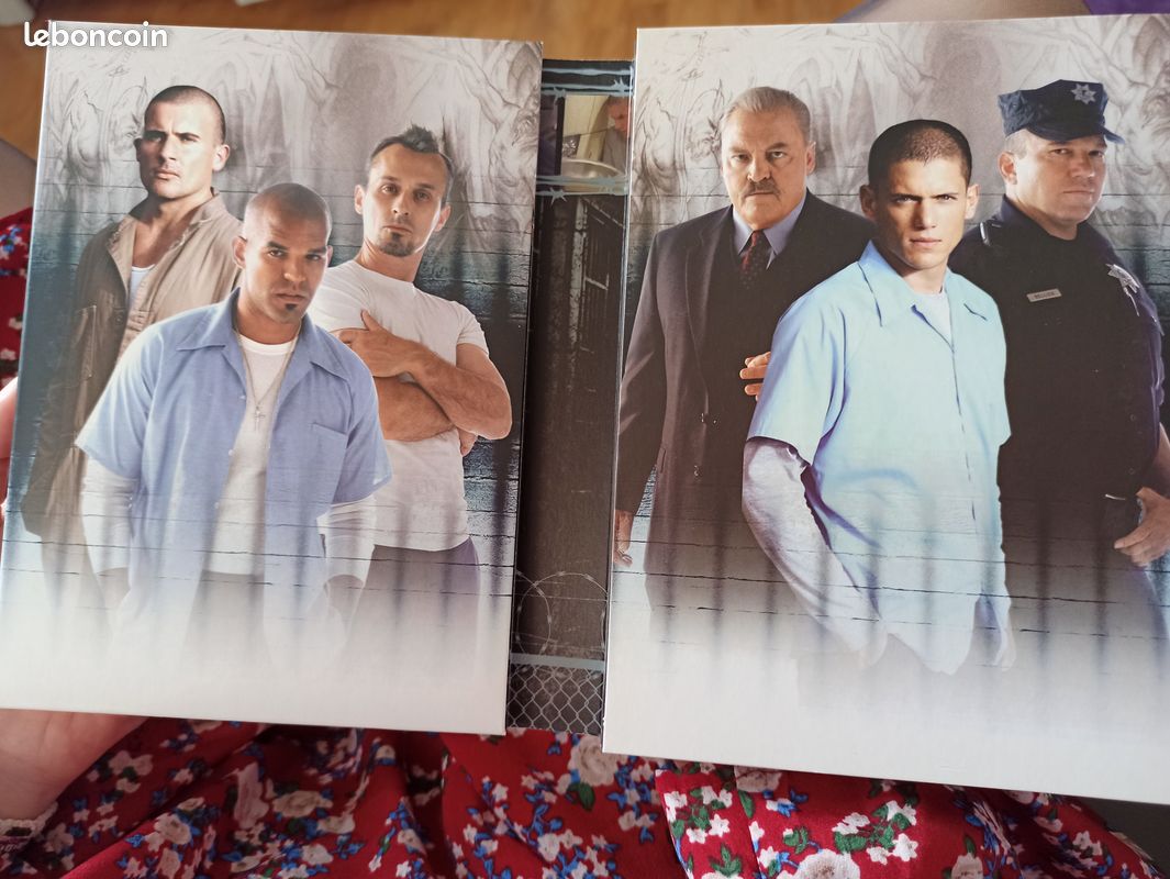 Dvd saison 1 prison break (image 2)