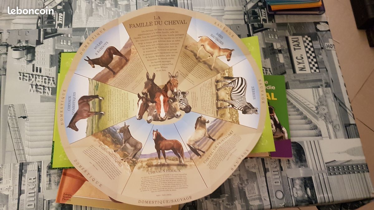 4 livres sur les chevaux: 1 malette remplie de fiches et 3 beaux livres, TBE (image 7)