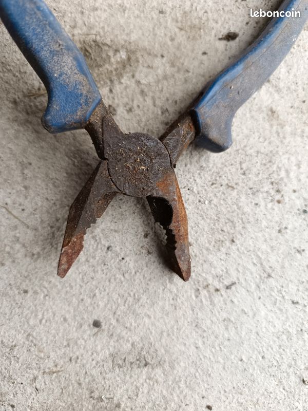 Pince coupante Bost (image 6)