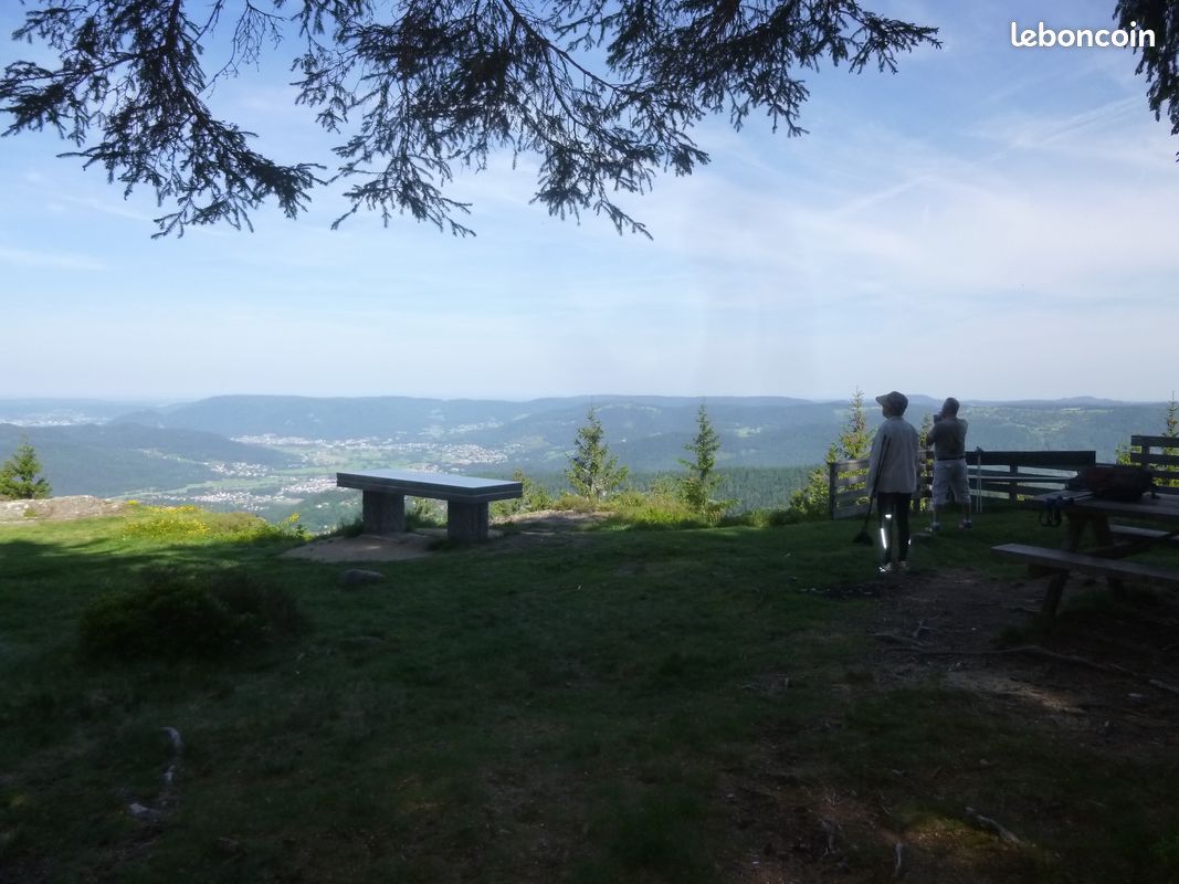 Chalet sympa Hautes Vosges (image 14)