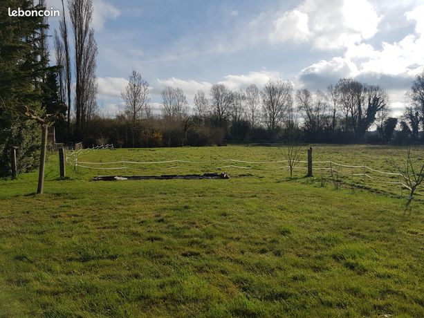 Terrain