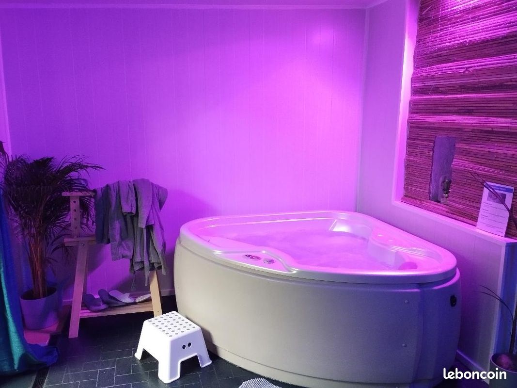 Le Paradis, Jacuzzi, fauteuil massant, terrasse, place parking, 2 personnes (image 4)