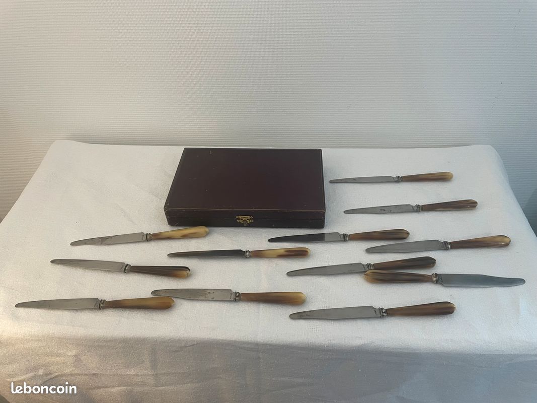 LOT DE 12 COUTEAUX DE TABLE ANCIEN EN CORNE ET ACIER A.B