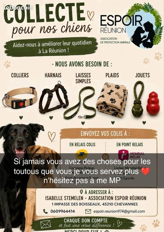 Recherche pour chien (image 1)