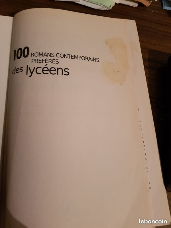 100 romans contemporains (image 5)