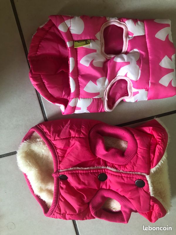 Lot de vêtements de petit chien (image 1)