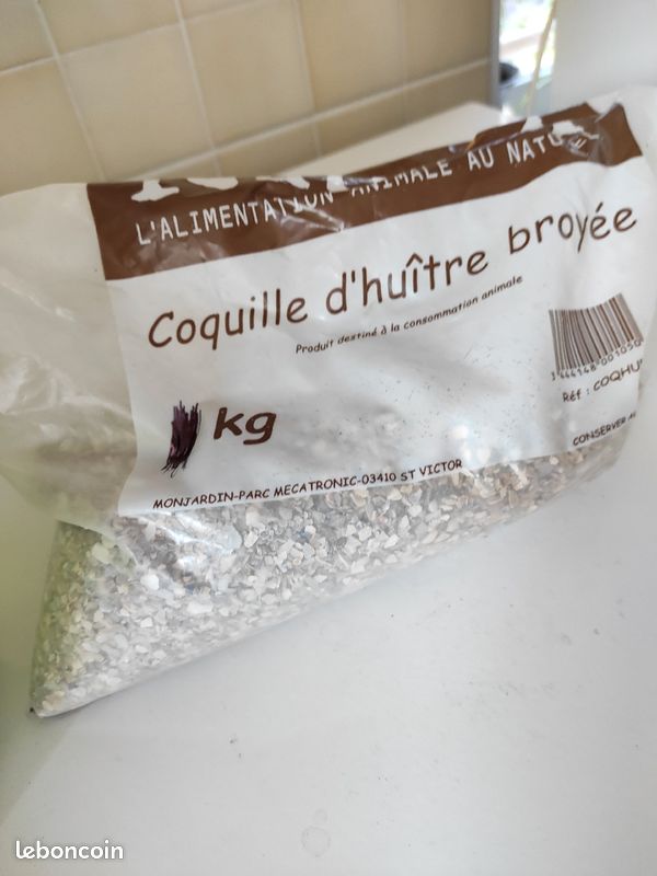 Lot mangeoire à oiseaux et coquilles d'huîtres (image 3)