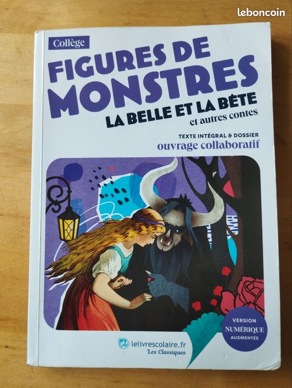 Livre ado contes collège (image 2)