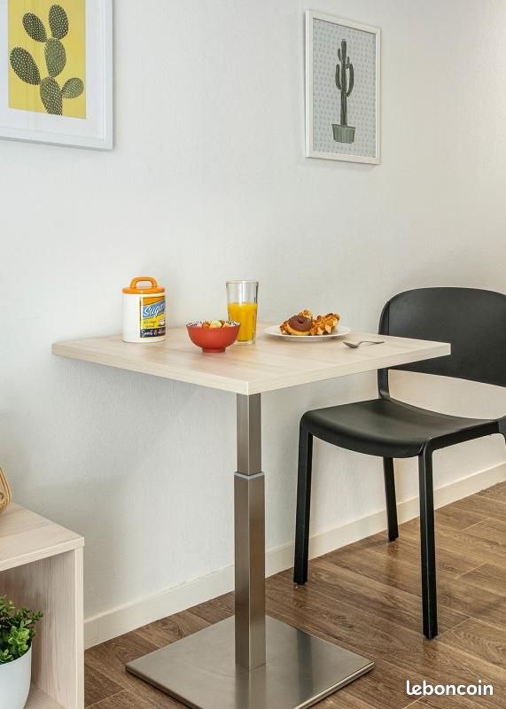 Studio 1 pièce 18 m² - Limoges 87000 (image principale 7)
