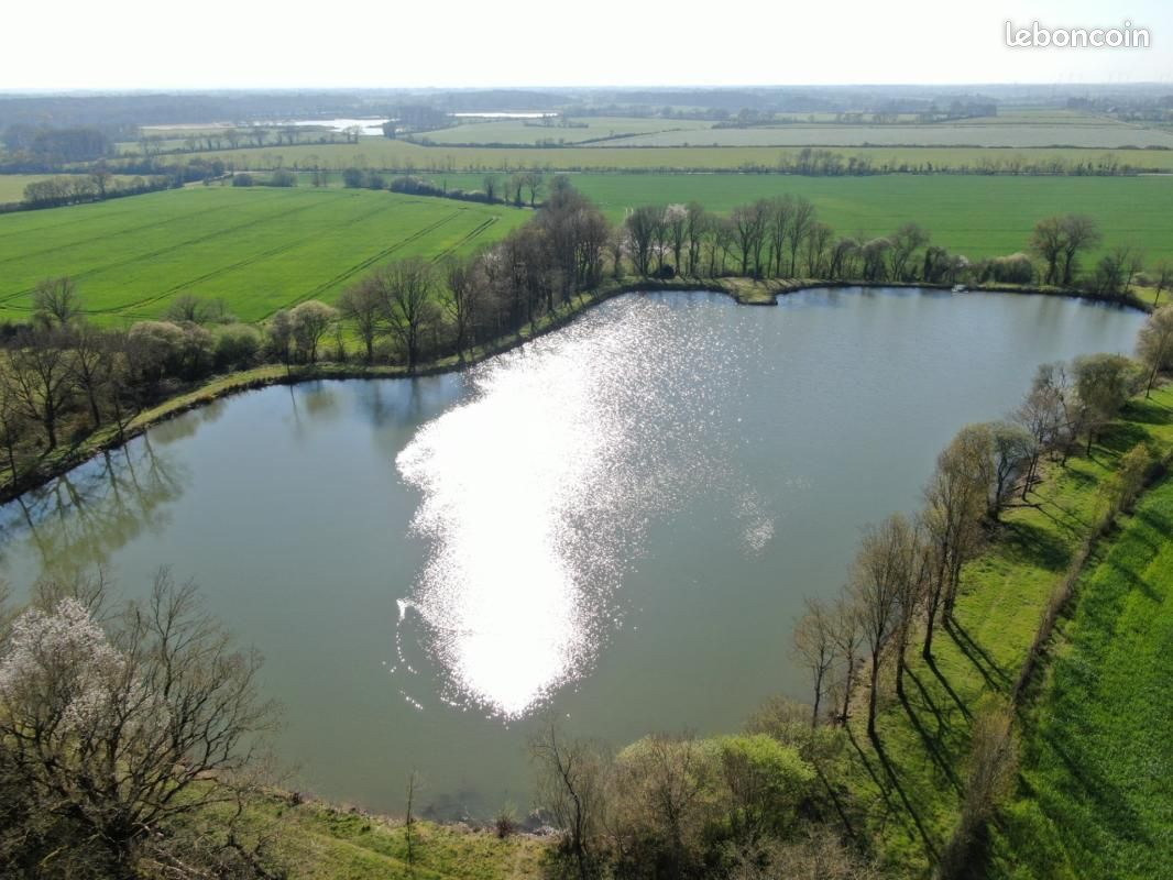 Maison 6 pièces 131 m² · à Riaillé · 131 m² · 286 000 €