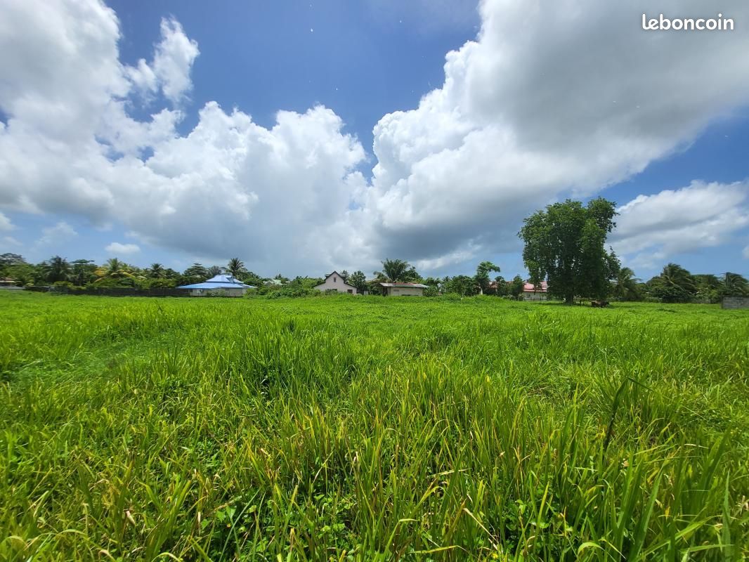 Terrain 730 m² Les Abymes · 152 500 €