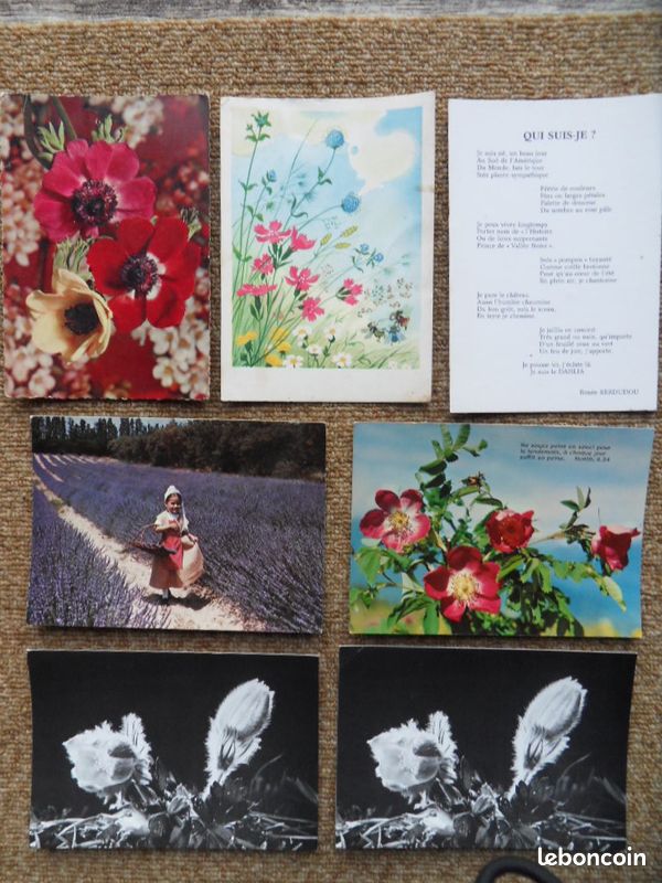 Lot 58 cartes postales thème fleurs - Collection