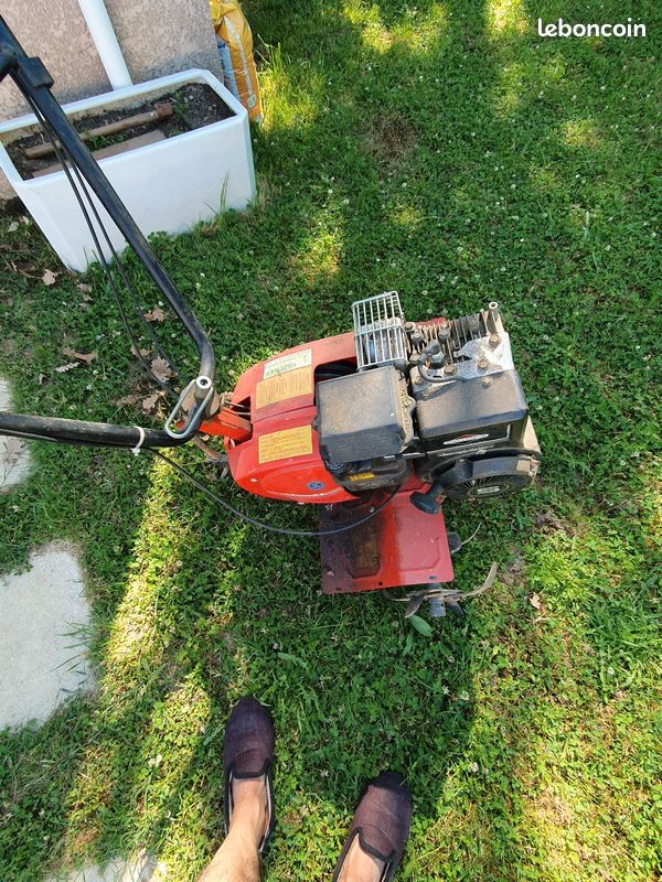 Vends motobineuse BENASSI LB 35 (image 2)