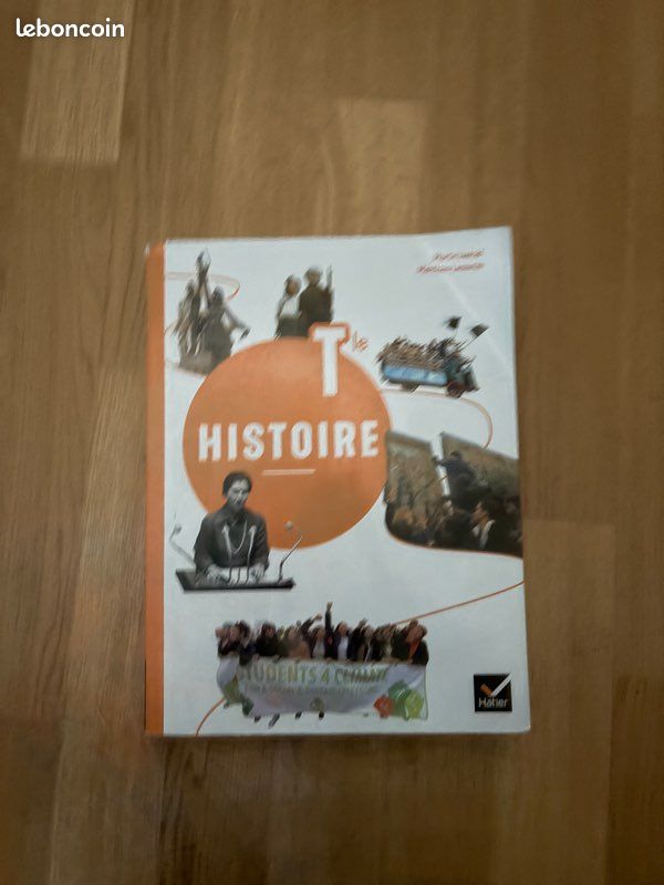 Manuels St Martin terminale (image 7)