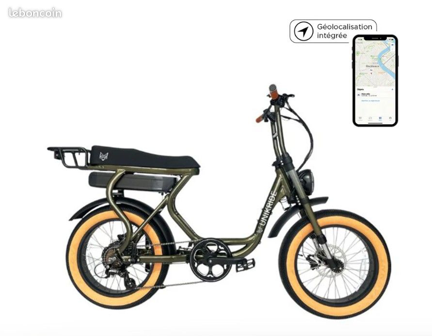 Vélo Électrique Cargo Biplace Fatstreet Modèle 2025 connecté — free download