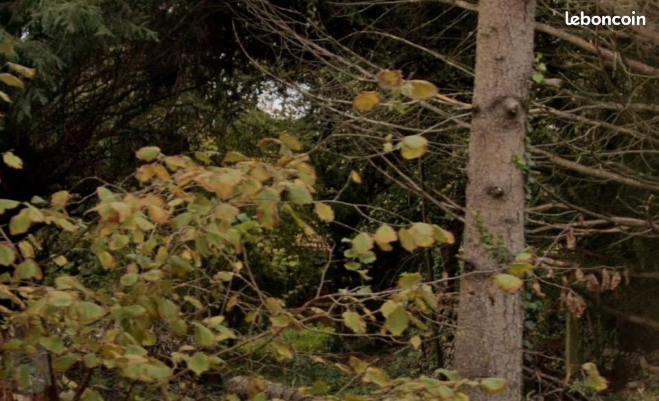 Terrain 644 m² Saint Michel Sur Orge · à Saint-Michel-sur-Orge · 195 000 €