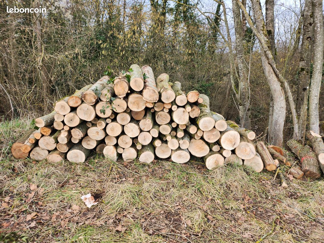 Bois (image 5)