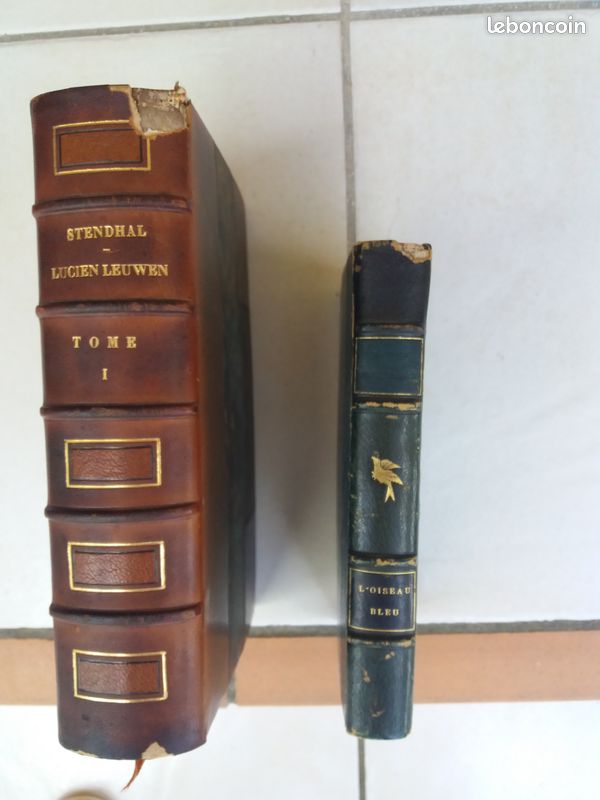 Lot 2 livres anciens (image 2)