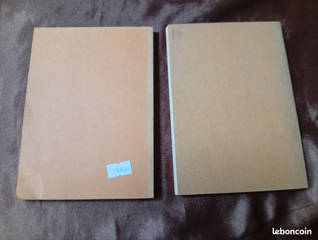 Les apocryphes éthiopiens traduit par René d'Esdras, tomes IX et X (image 4)